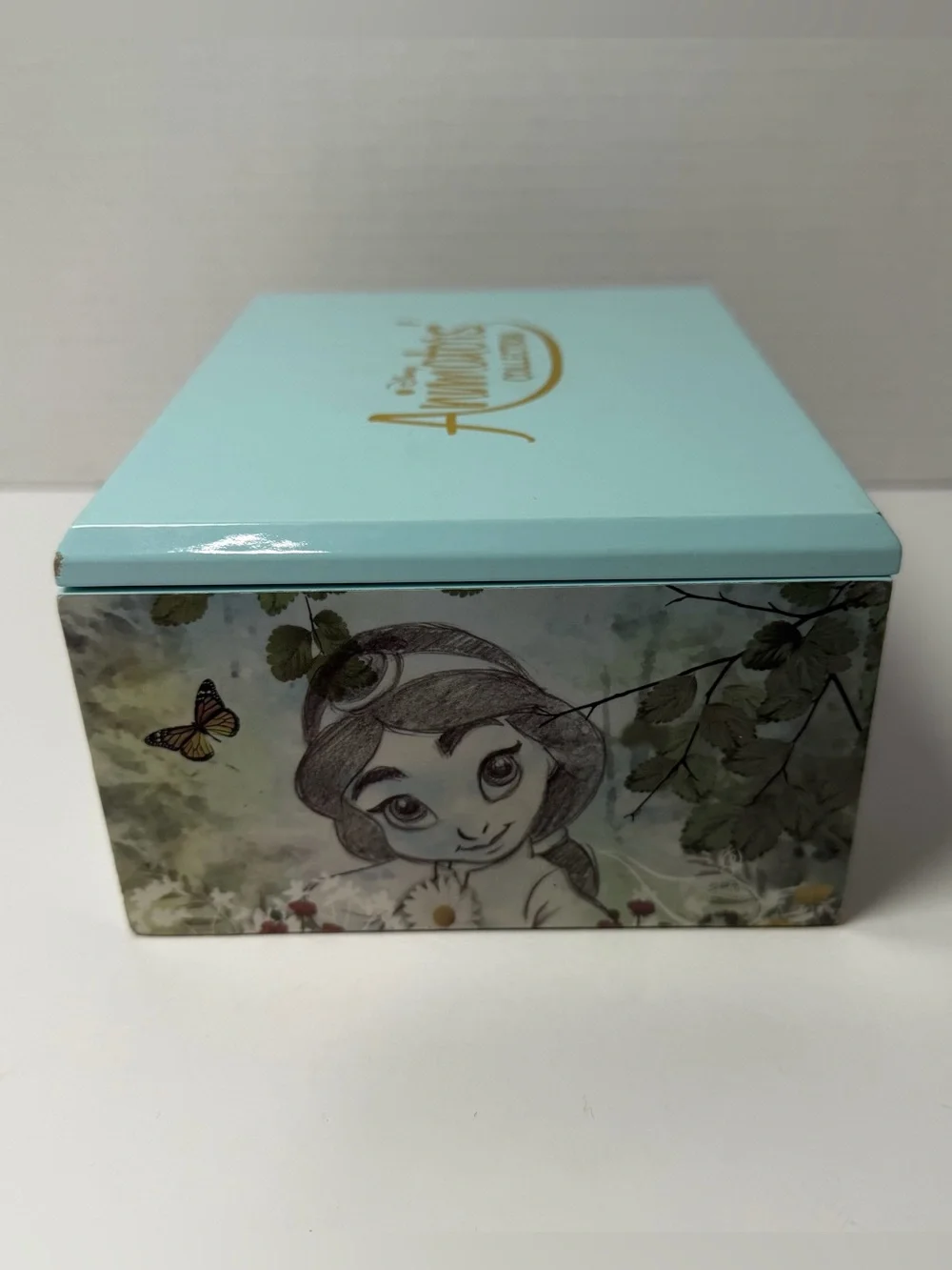 Disney Princesses Jewelry & Trinket Box